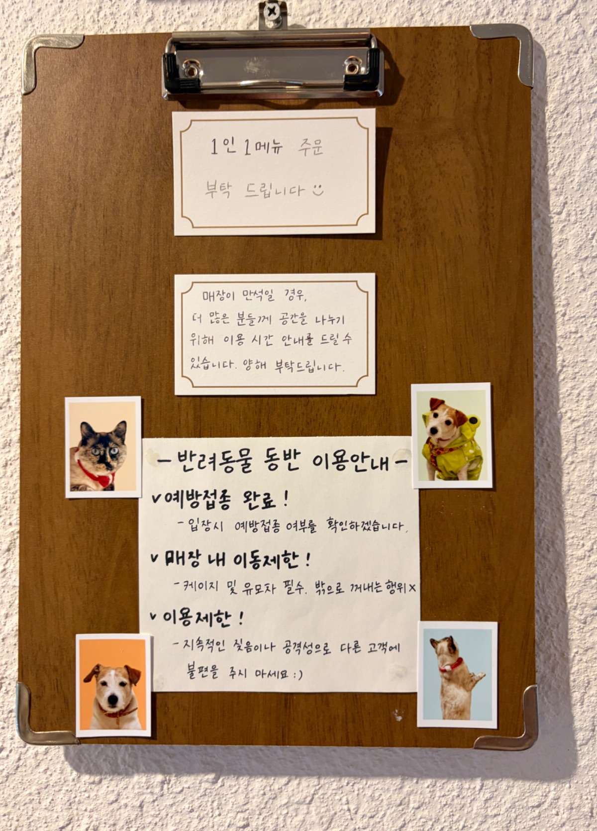 시로울 사진