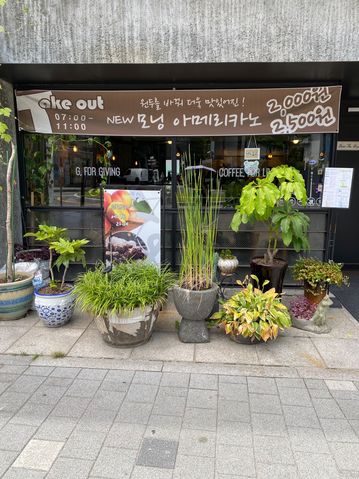 빈티지204 사진