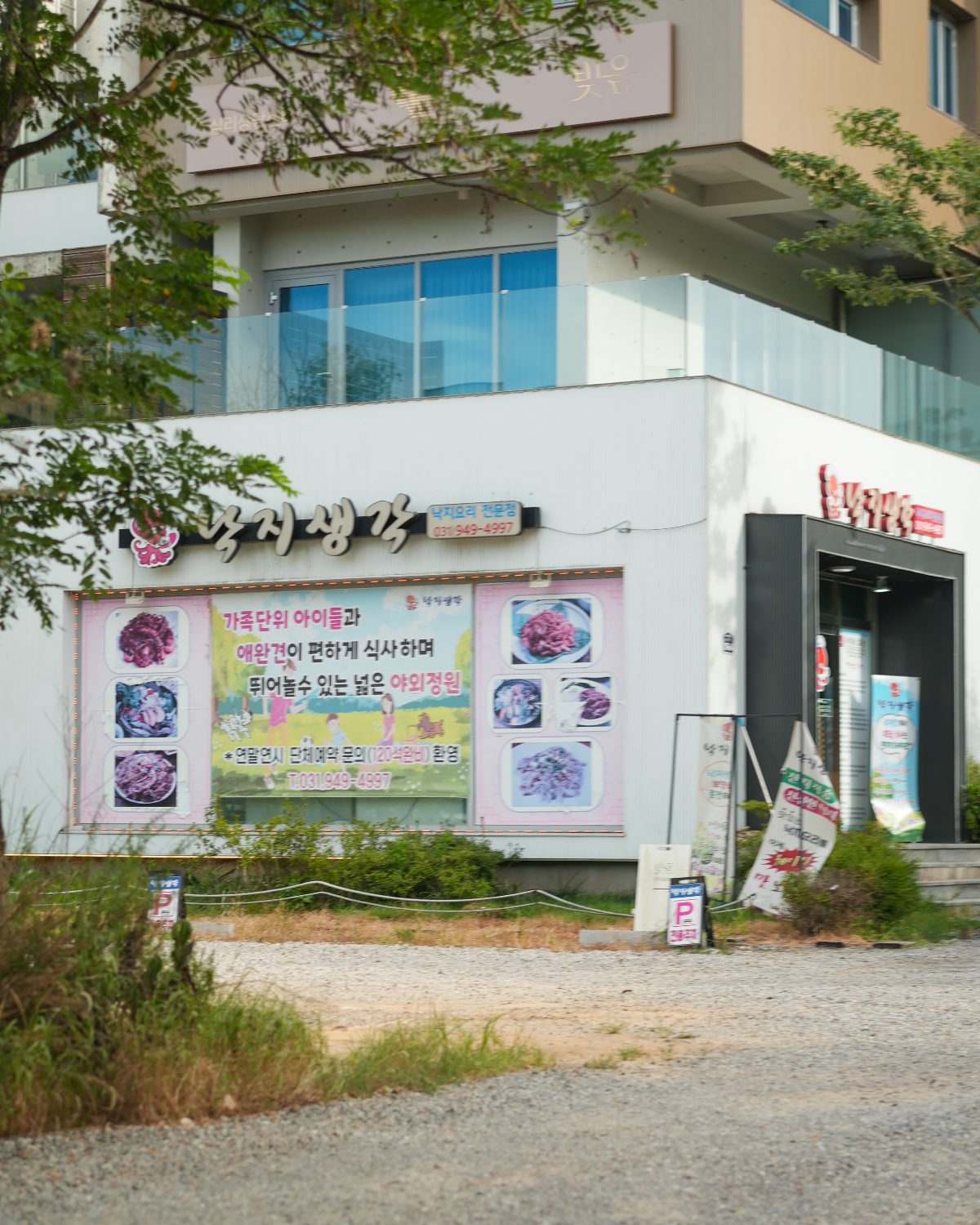 헤이리 낙지생각 사진
