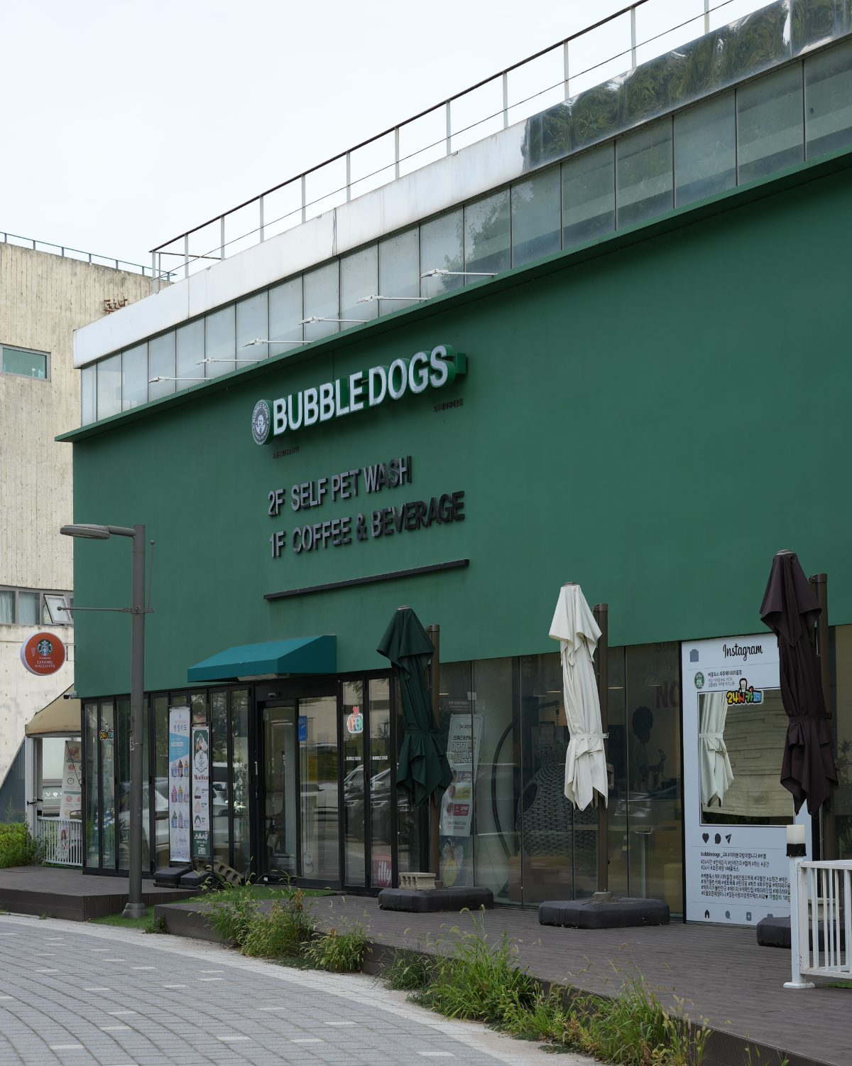 버블독스 파주헤이리마을점 사진