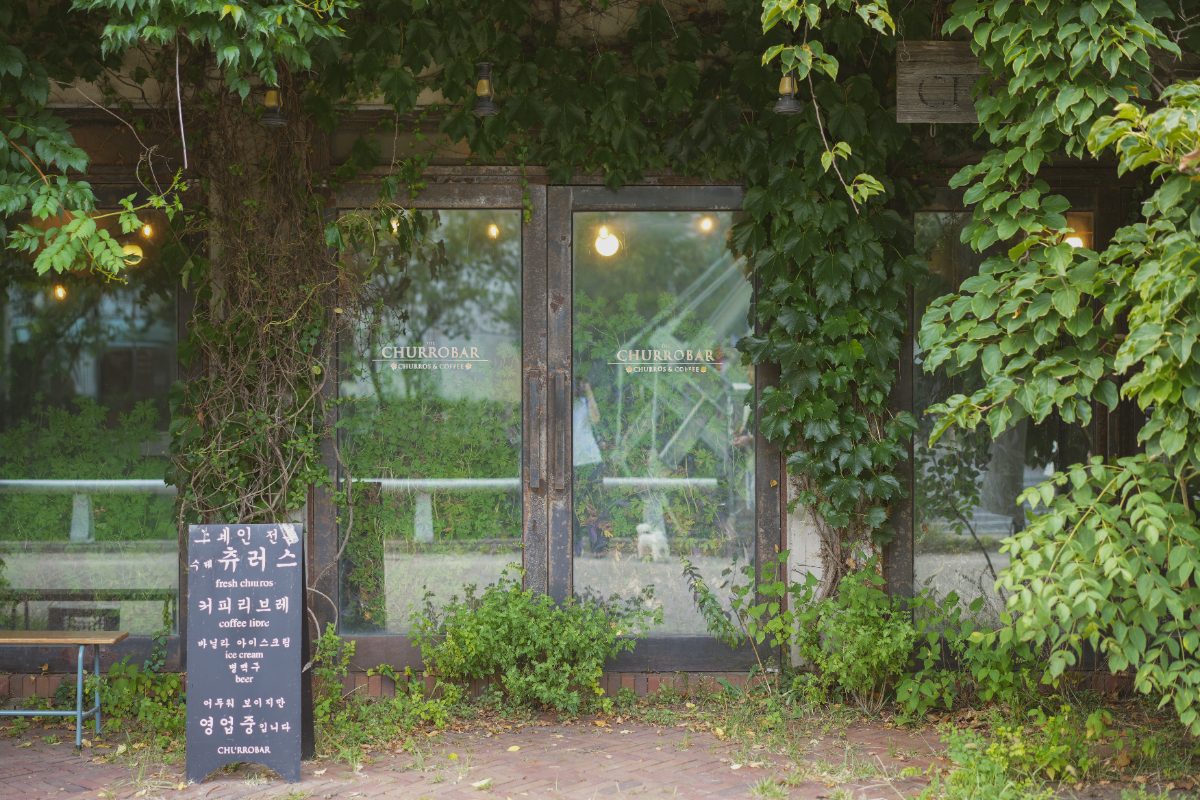 츄로바 사진