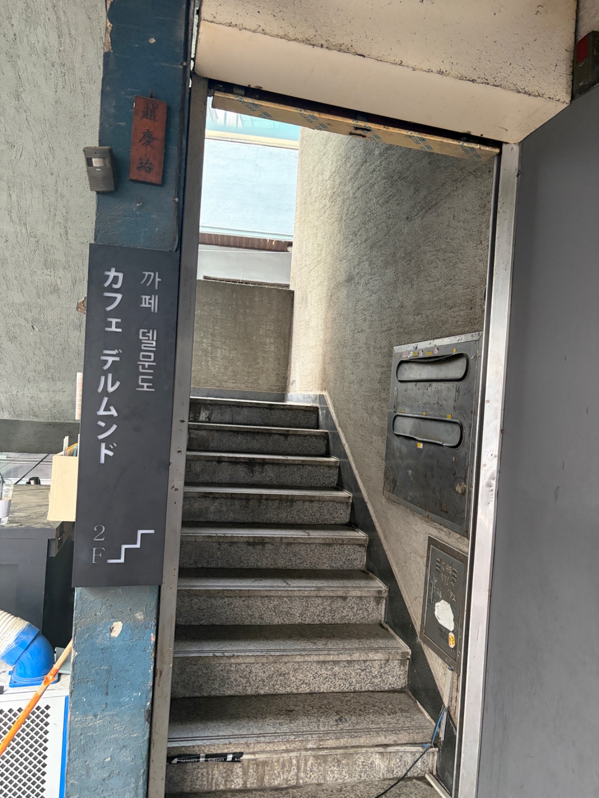 델문도 사진