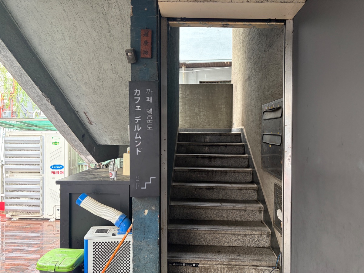 델문도 사진