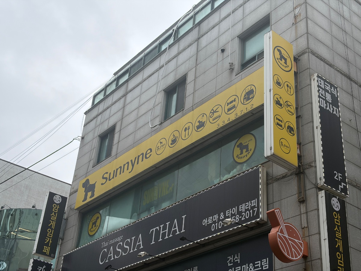 써니네 사진