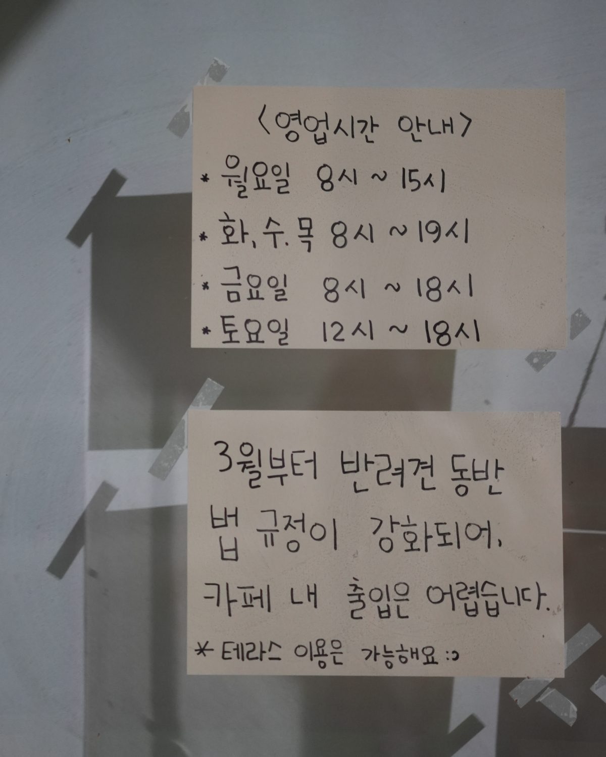 구름위 사진