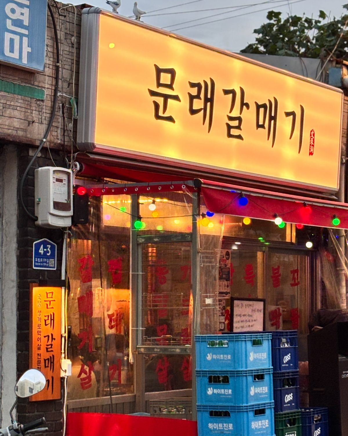 문래갈매기 사진