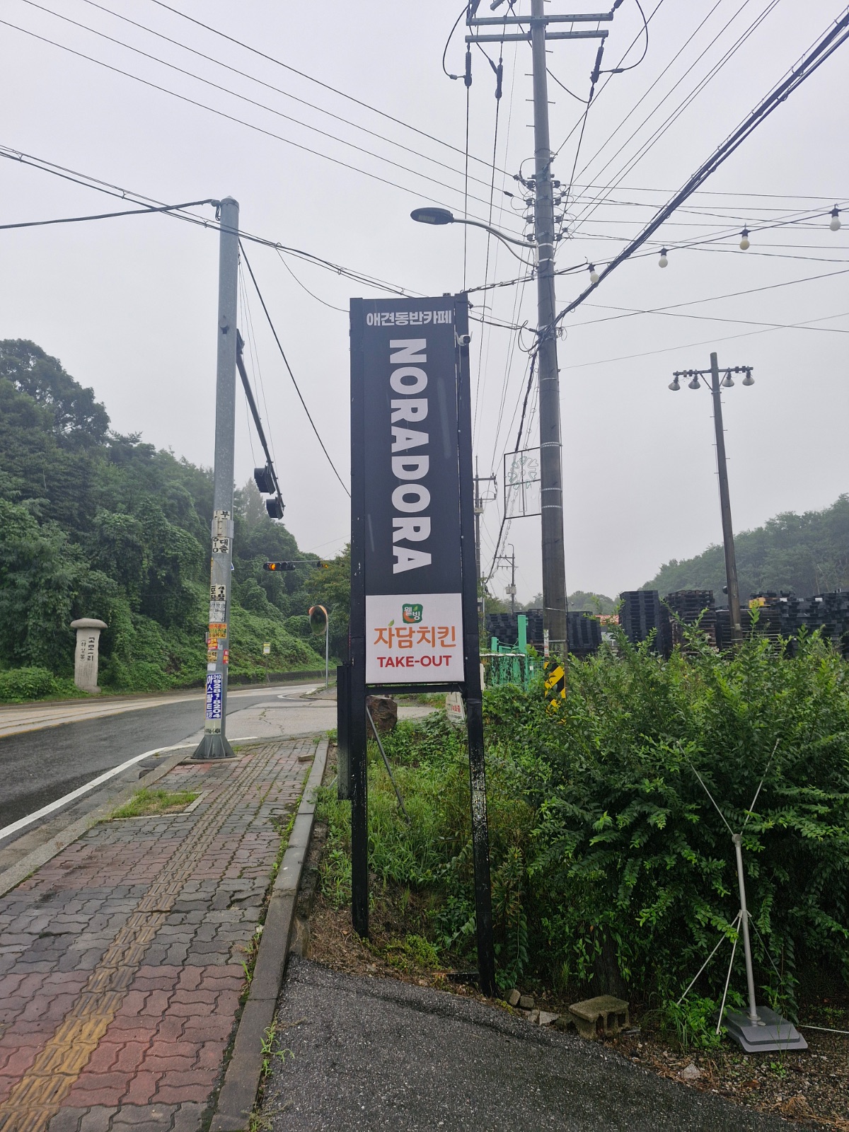 노라도라 사진