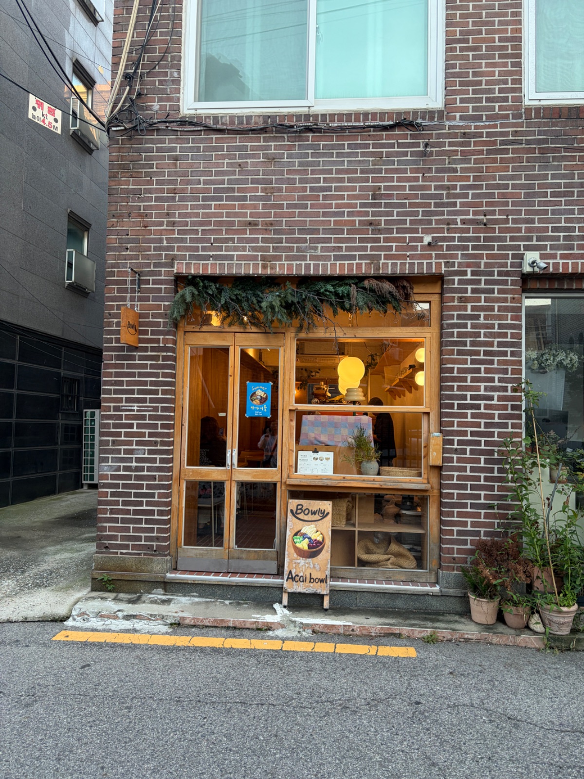 보울리 사진