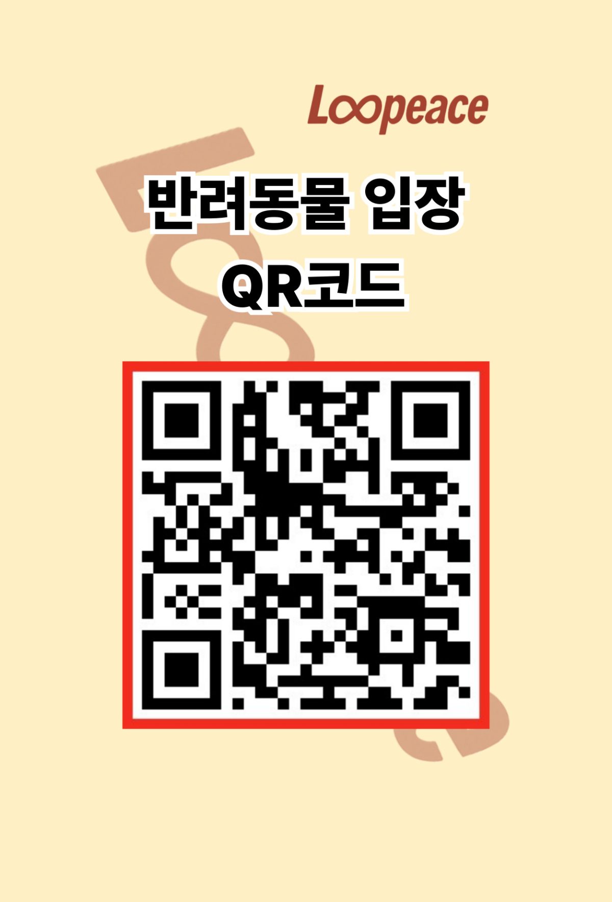 룹피스(Loopeace) 사진