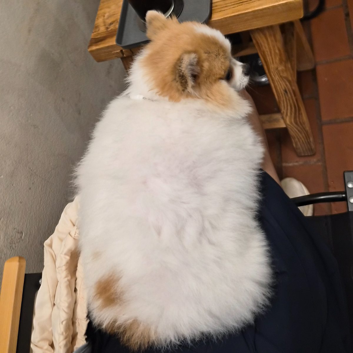 올라운드커피 사진