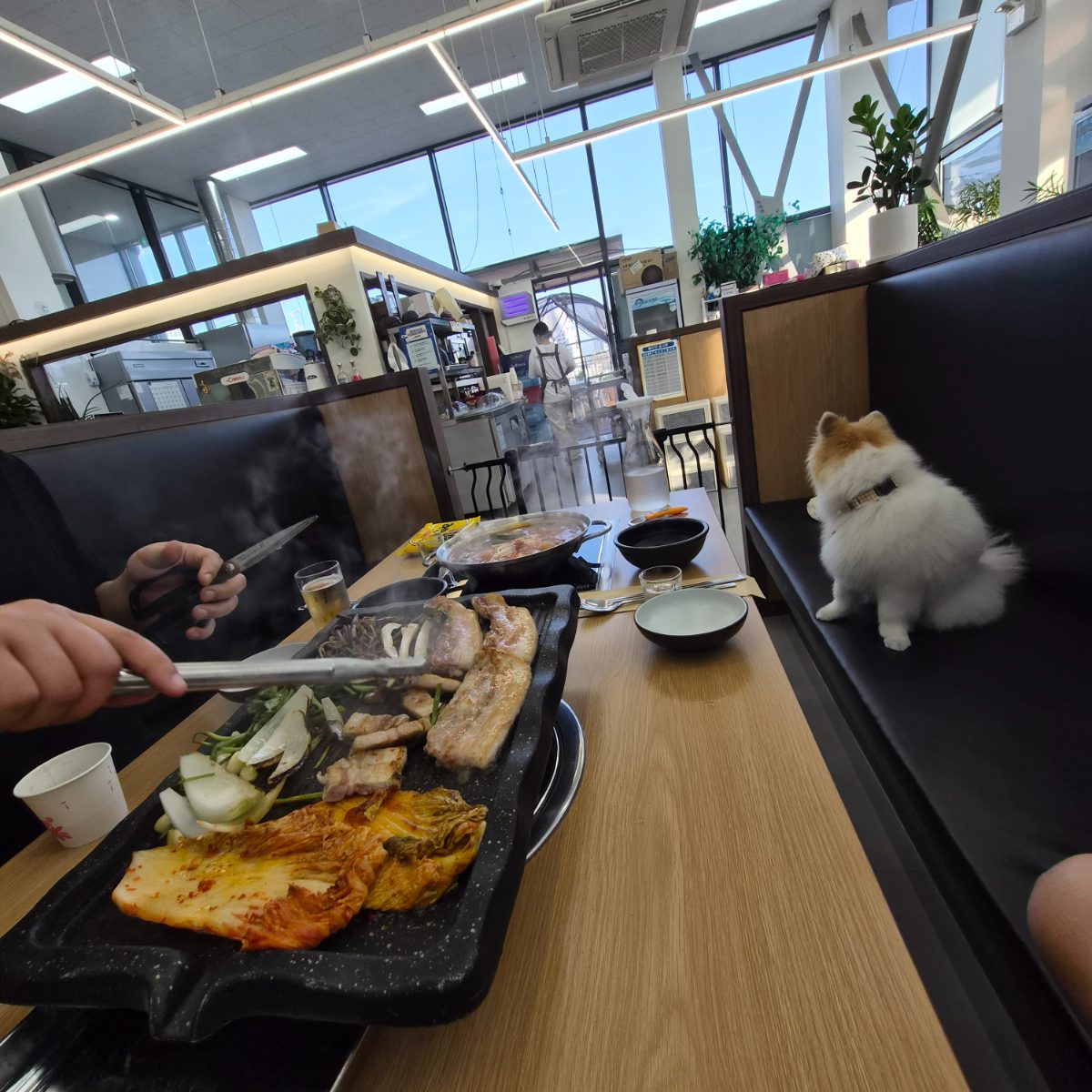 행삼 사진