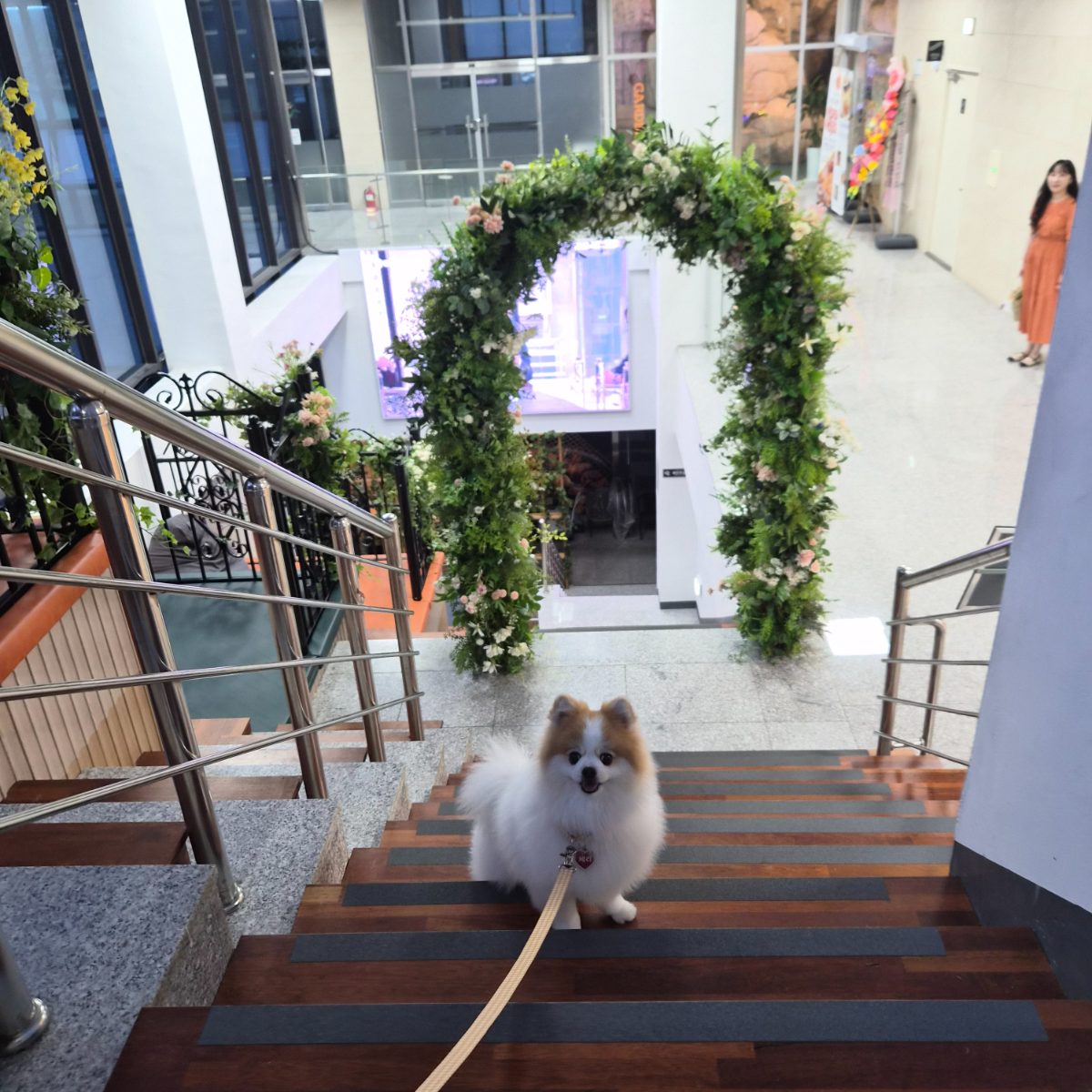 가드니아제빵소 시흥거북섬점 사진