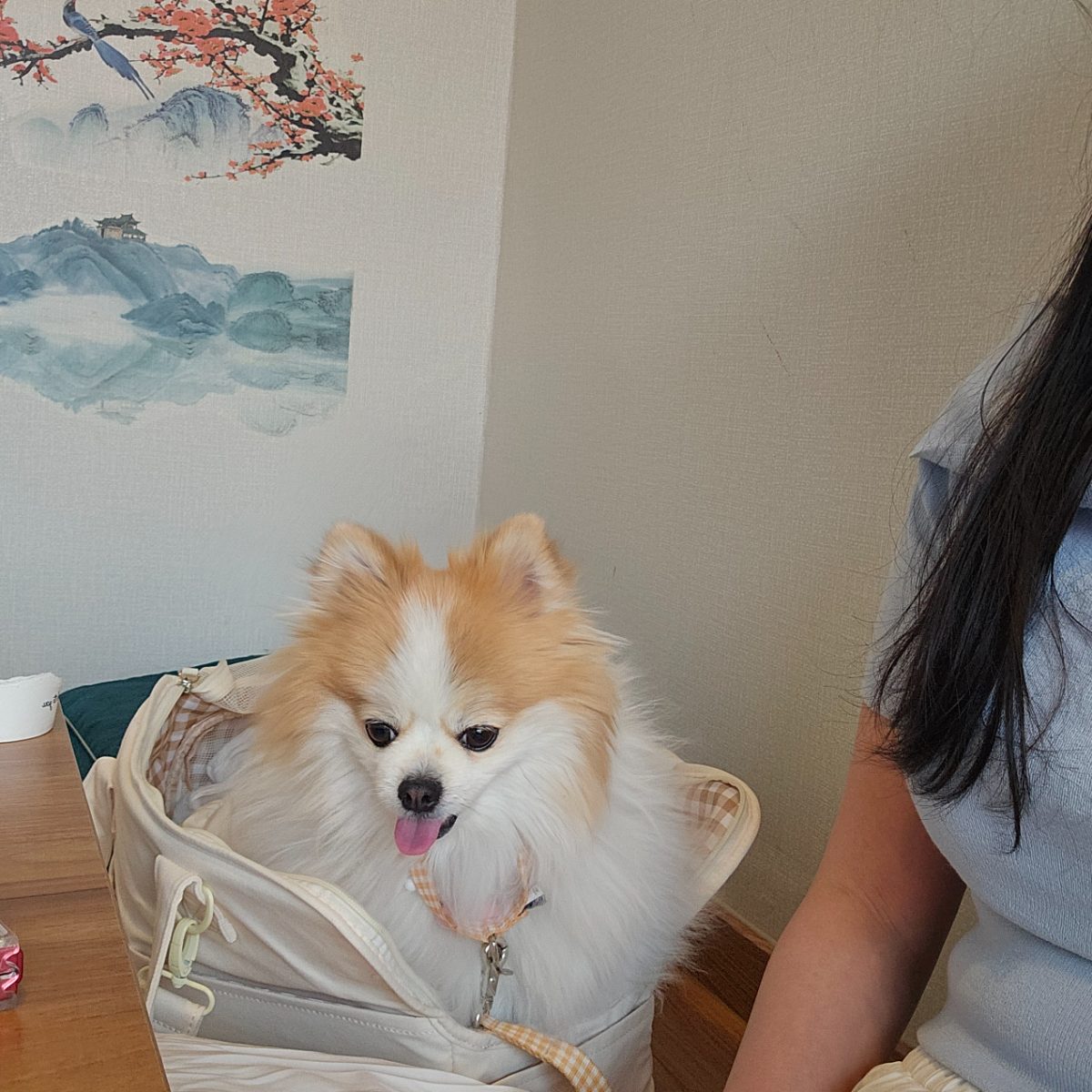 뜰안채 사진