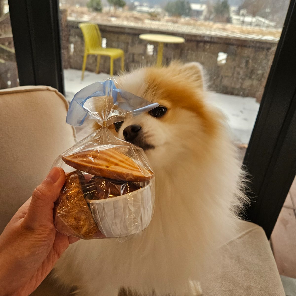 용문산빵공장 사진