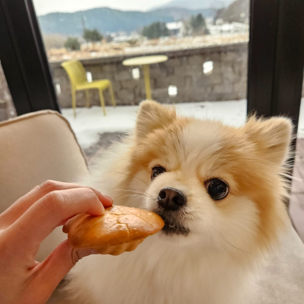 용문산빵공장 사진