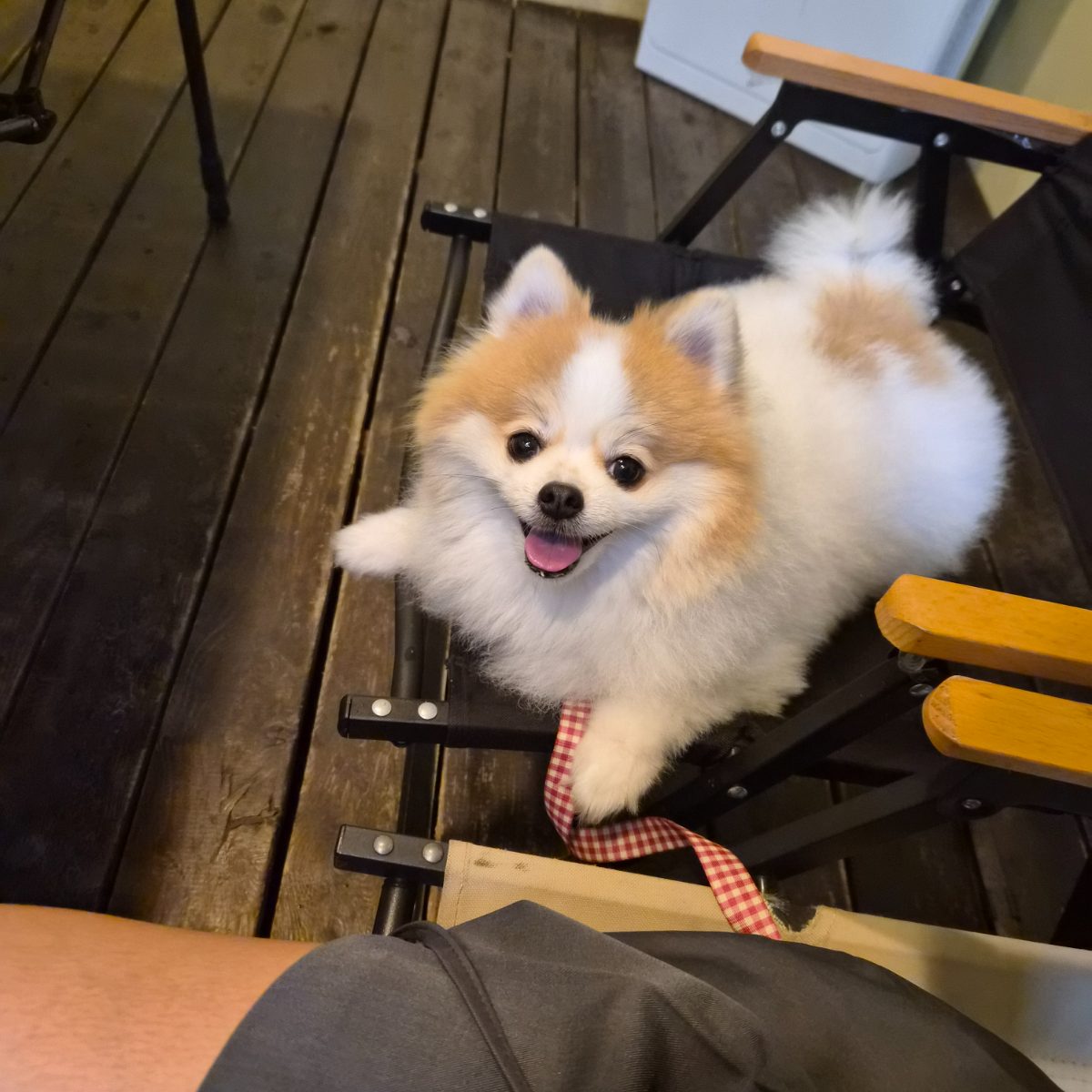 캠프그레잇 사진