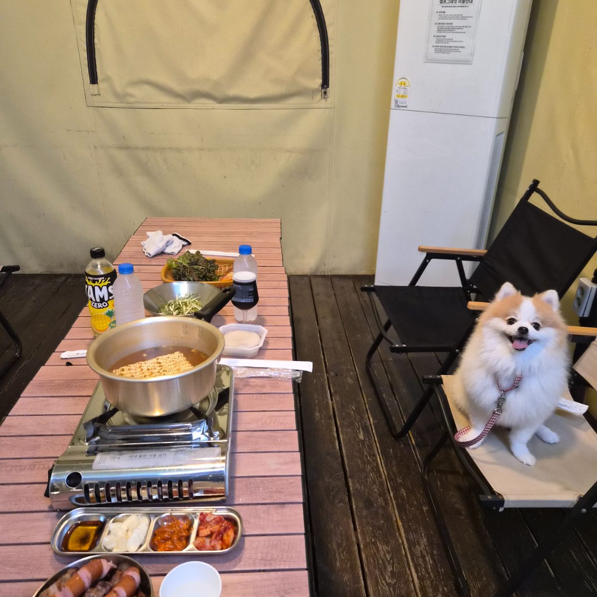 캠프그레잇 사진