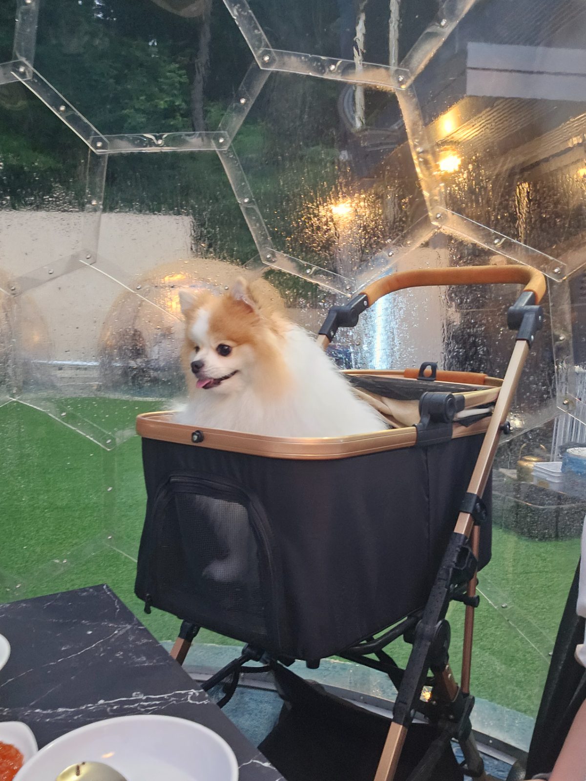 금포가든 사진