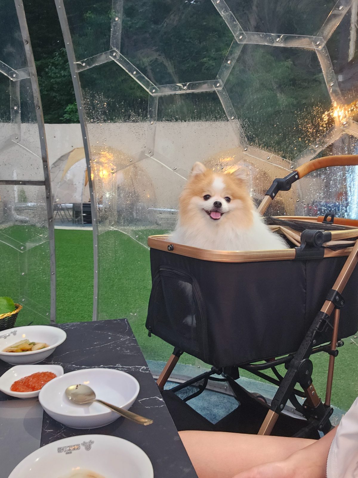 금포가든 사진